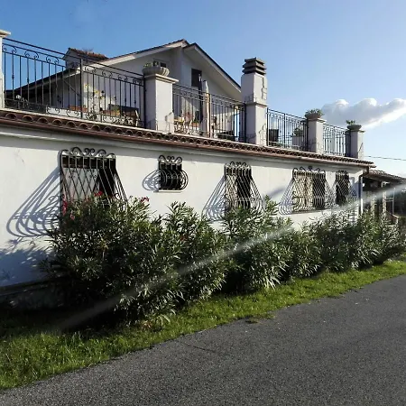 Vascello *